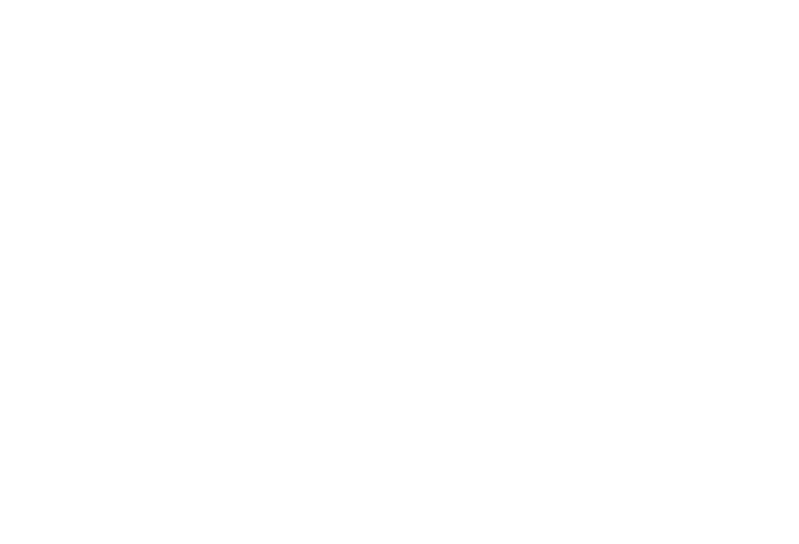 hlm elektronik